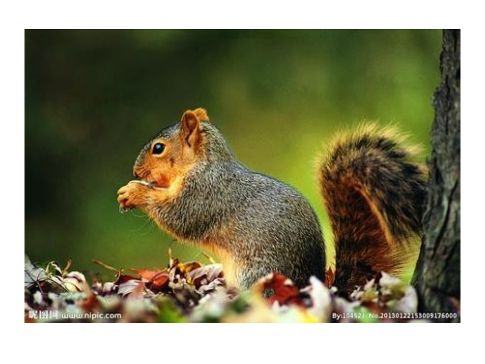 六年级上册第七单元口语交际_第2页