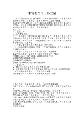丰富的图形世界教案