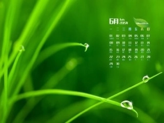 高二音乐课结课聆听六月