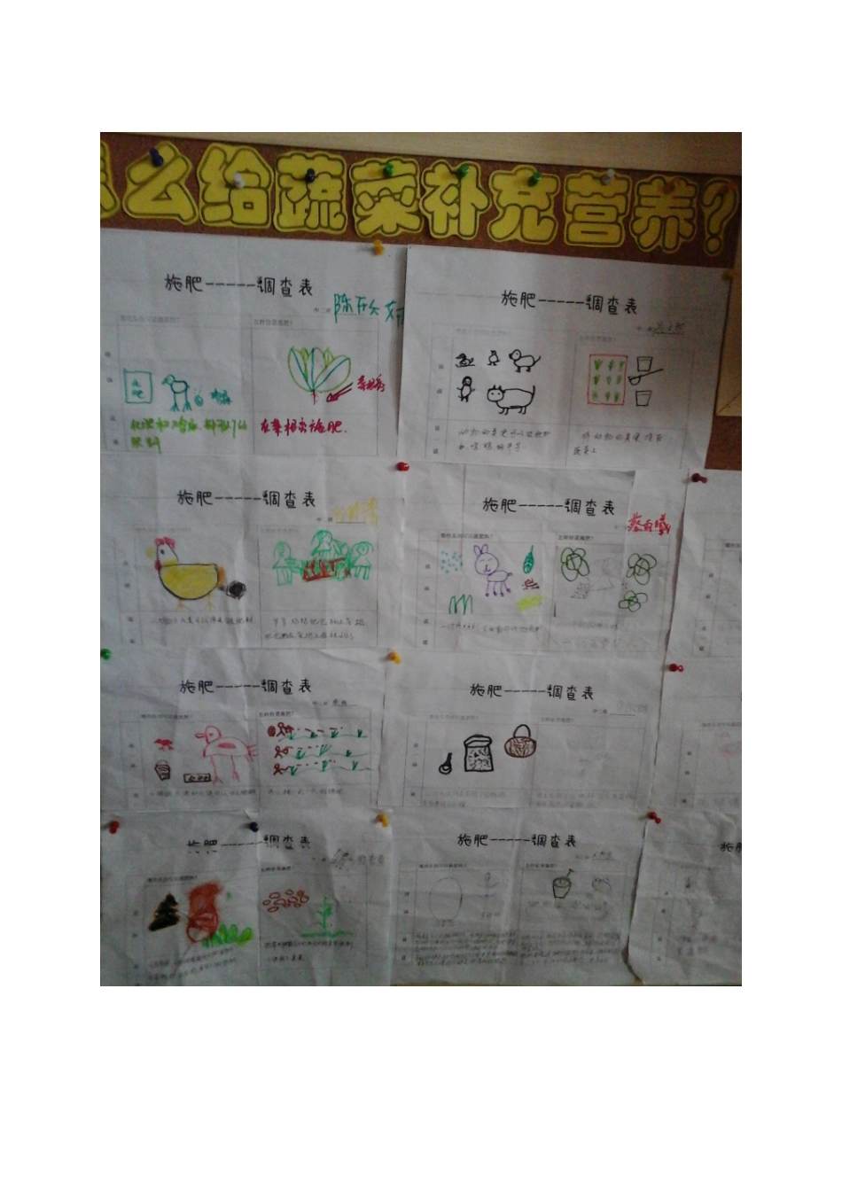 怎样给蔬菜补充营养_第3页