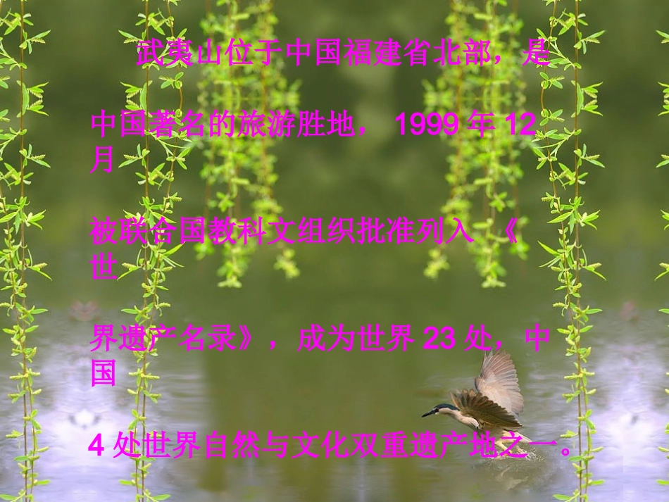 美丽的武夷山_第3页