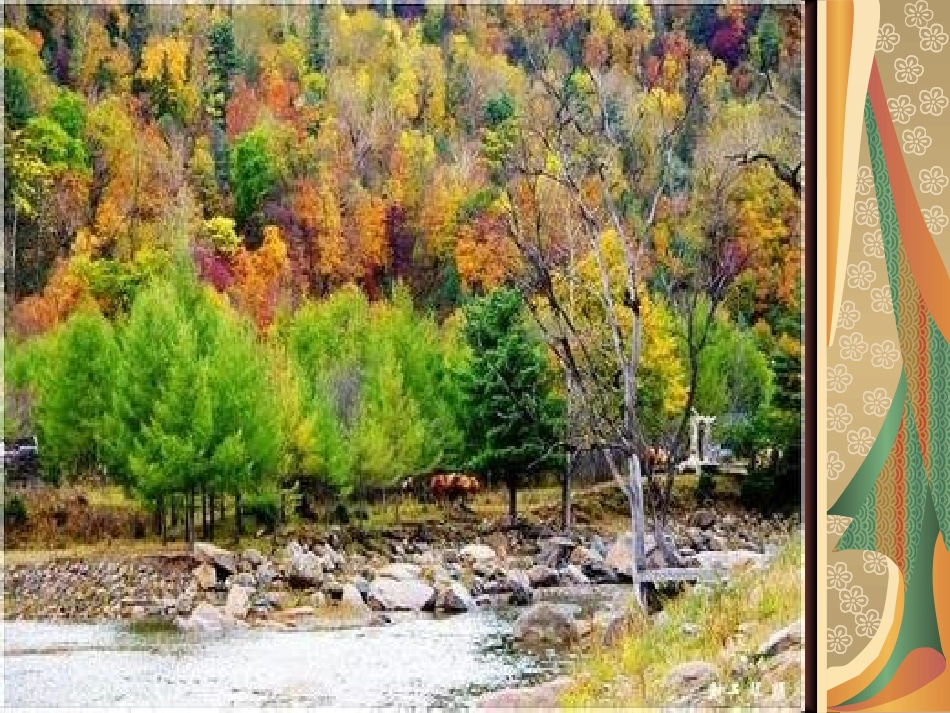 美丽的小兴安岭课件_第3页