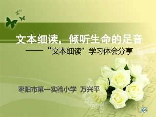 文本细读课件