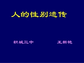 性别遗传课件