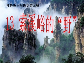 五年级上册索溪峪的野