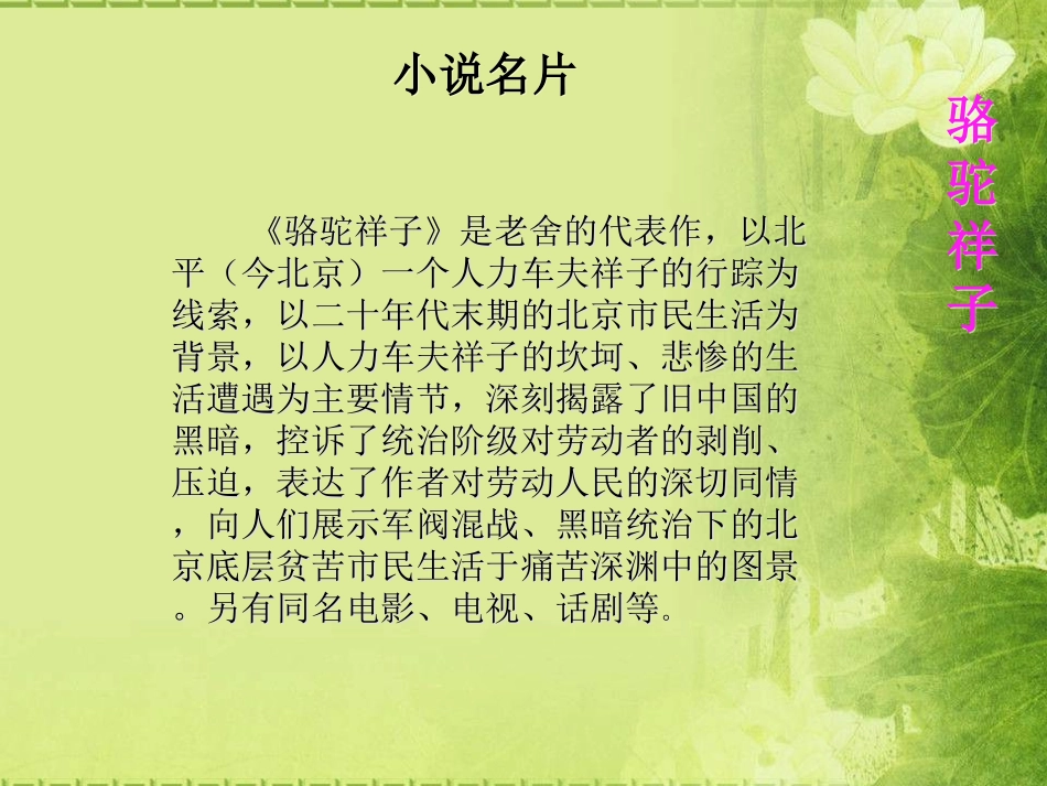 小说赏析之《骆驼祥子》_第2页