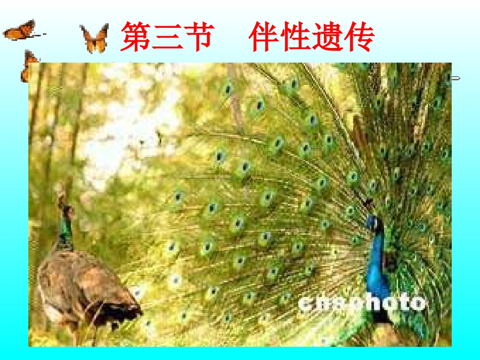 第三节伴性遗传]_第1页