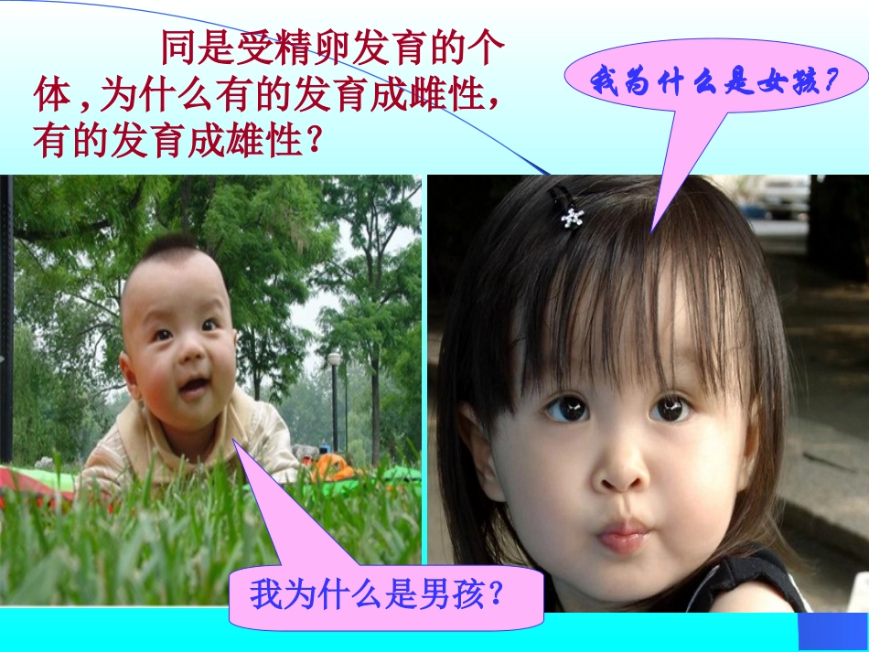 第三节伴性遗传]_第2页