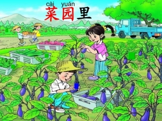 《菜园里》——陈水清