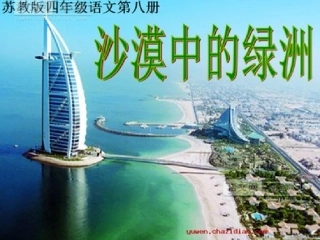 沙漠中的绿洲课件