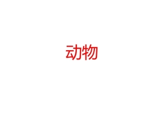 语文游戏猜猜猜动物