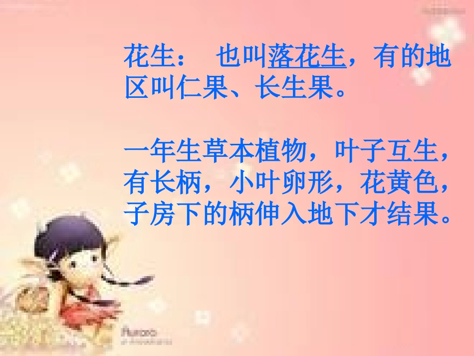 常艳朋《落花生》课件_第3页