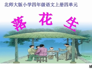 常艳朋《落花生》课件