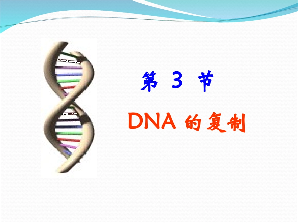 第三节DNA的复制_第1页