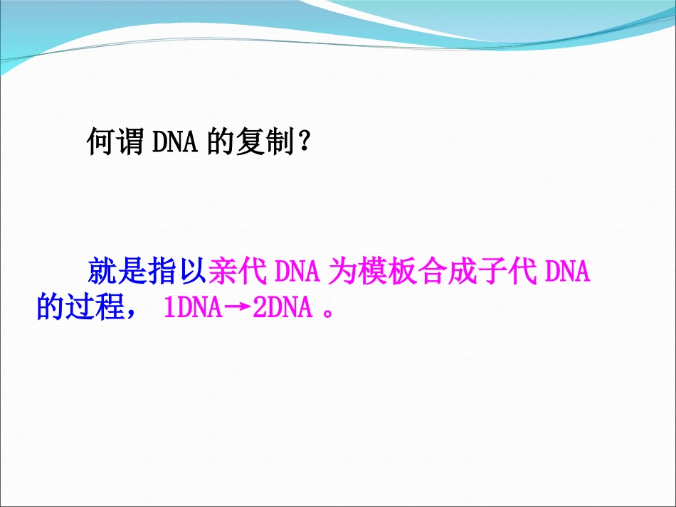 第三节DNA的复制_第2页