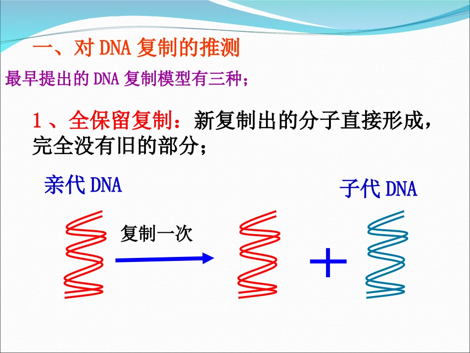 第三节DNA的复制_第3页