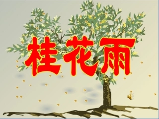 桂花雨讲课用修改版