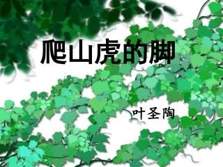 《爬山虎的脚》课件