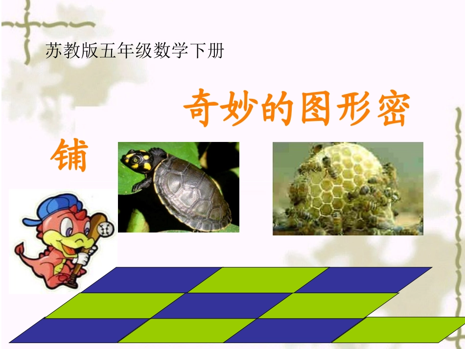 （苏教版）五年级数学下册课件《奇妙的图形密铺》_第1页
