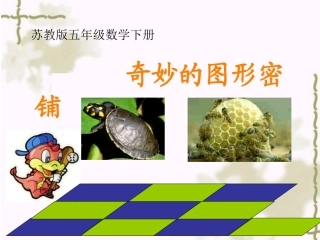 （苏教版）五年级数学下册课件《奇妙的图形密铺》
