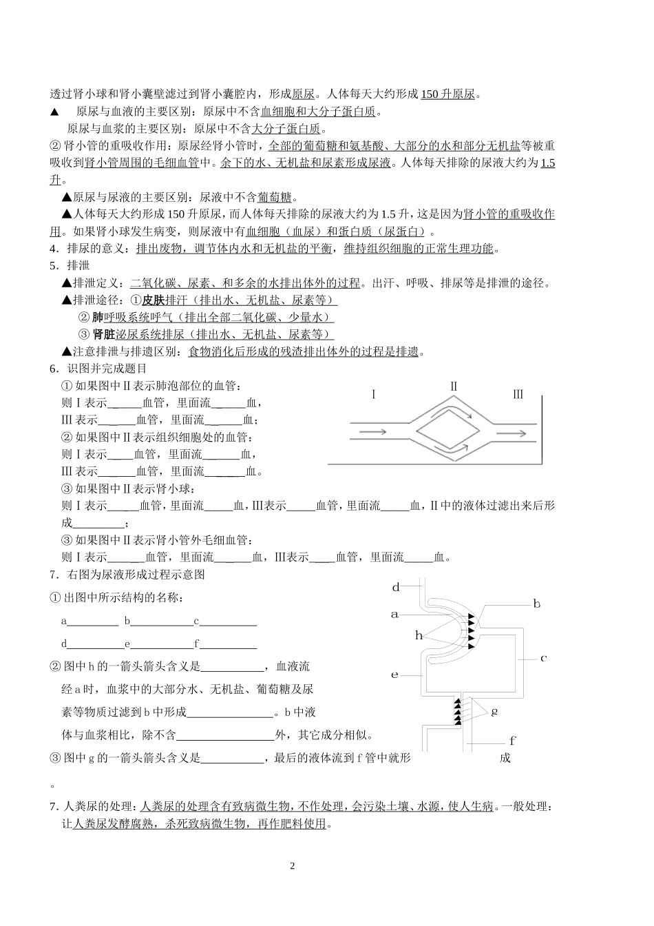 苏教版七年级生物下册复习提纲_(讲透教材)_第2页