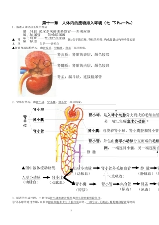 苏教版七年级生物下册复习提纲_(讲透教材)