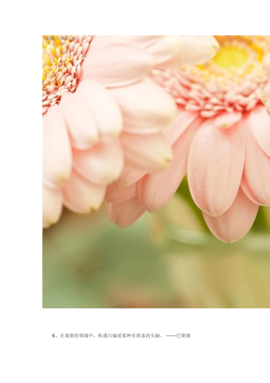 关于学习的励志名言大全_第2页