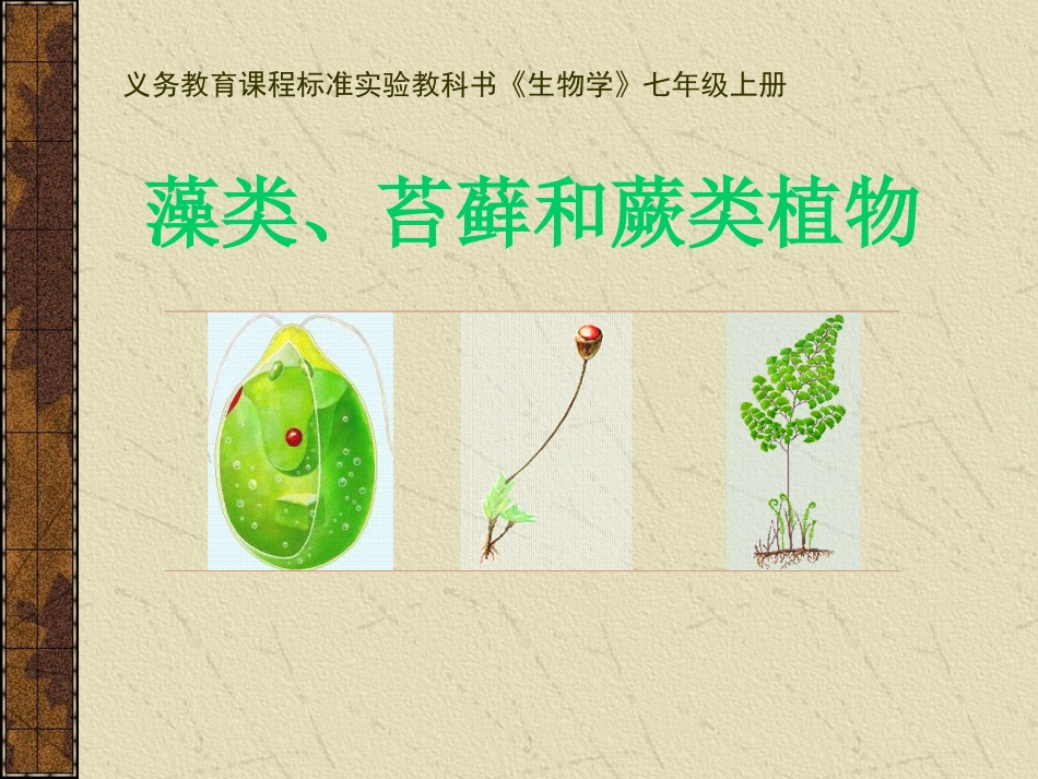初中生物《藻类、苔藓和蕨类植物_》课件_第1页