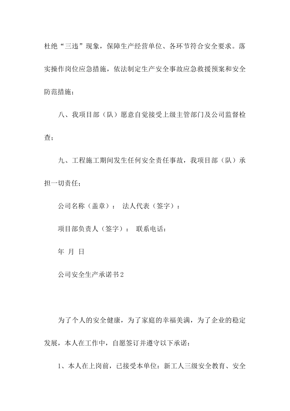 公司安全生产承诺书_第3页