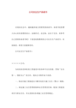 公司安全生产承诺书