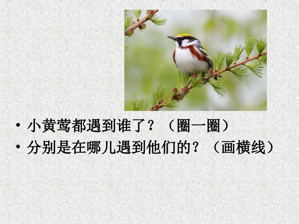 《奇妙的歌手》（侯杰）_第3页