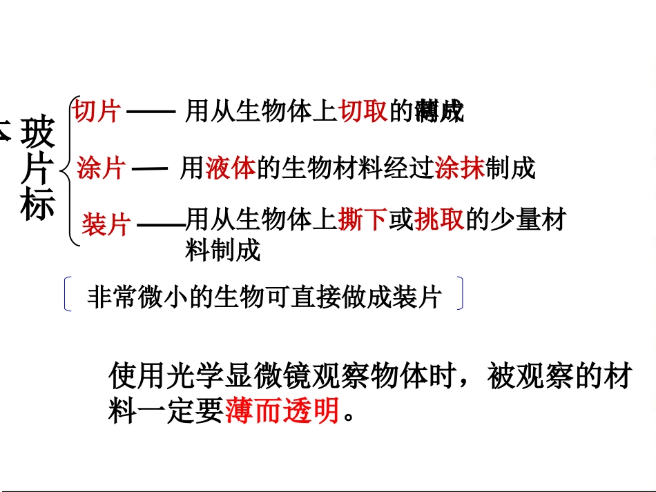 第二节、植物细胞_第3页