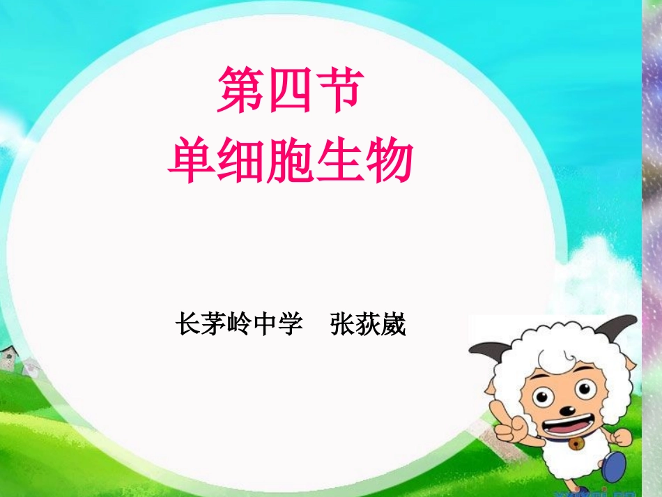 七年级生物《单细胞生物》课件_第2页