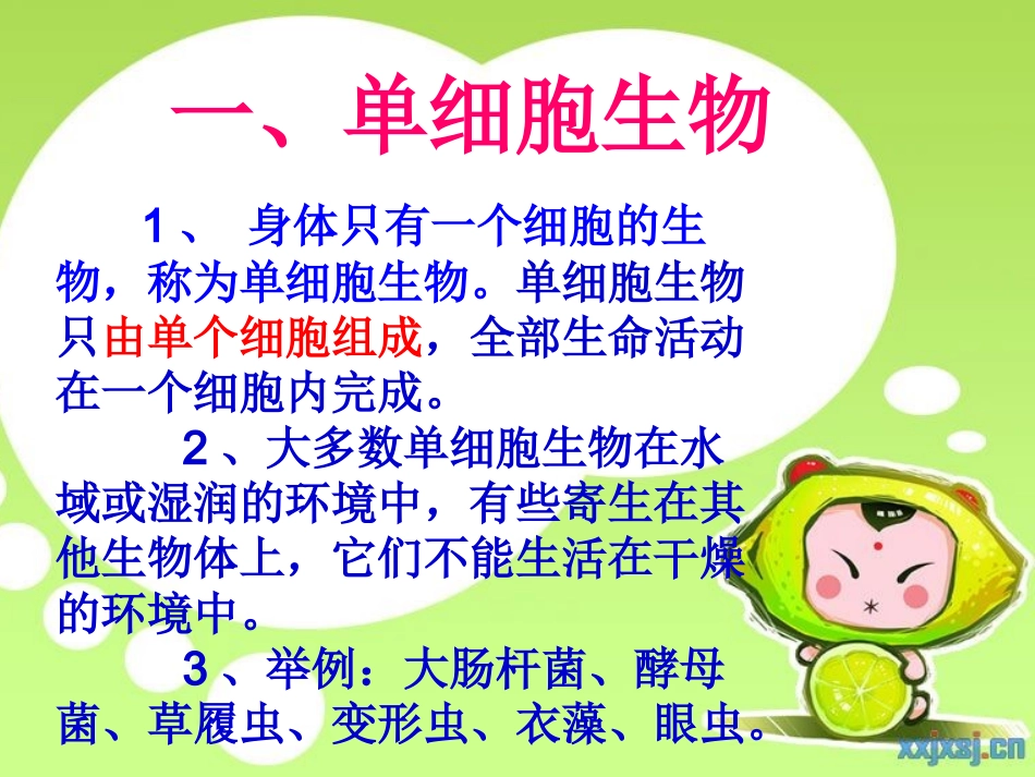 七年级生物《单细胞生物》课件_第3页