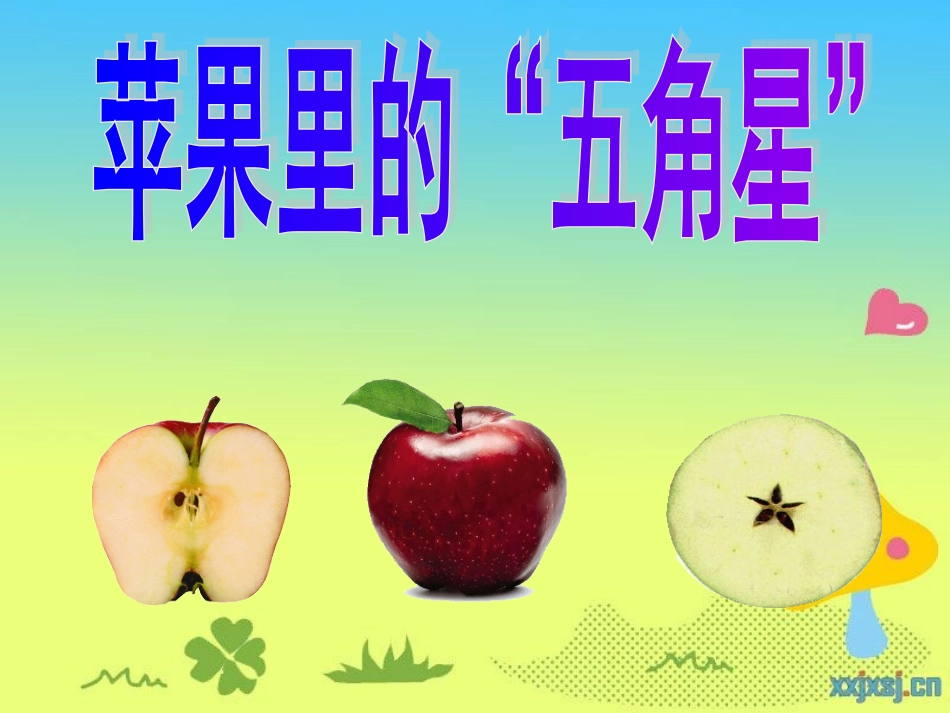 苏教版四年级下册第二单元重难点_第3页