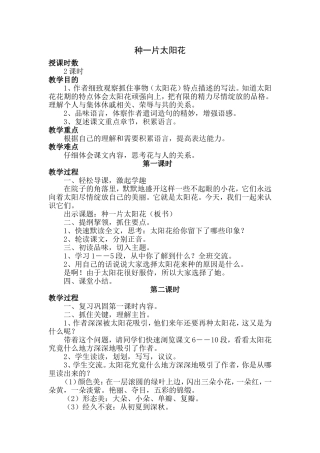 种一片太阳花