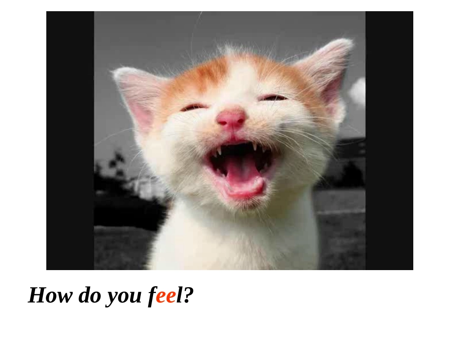 howdoyoufeel_五年级新标准英语课件_第3页