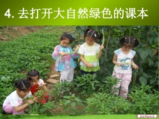 五年级语文上册第一组去打开大自然绿色的课本