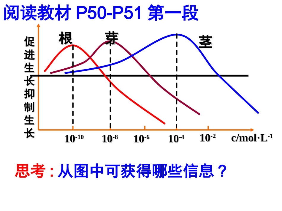 生长素的生理作用-公开课正式_第2页