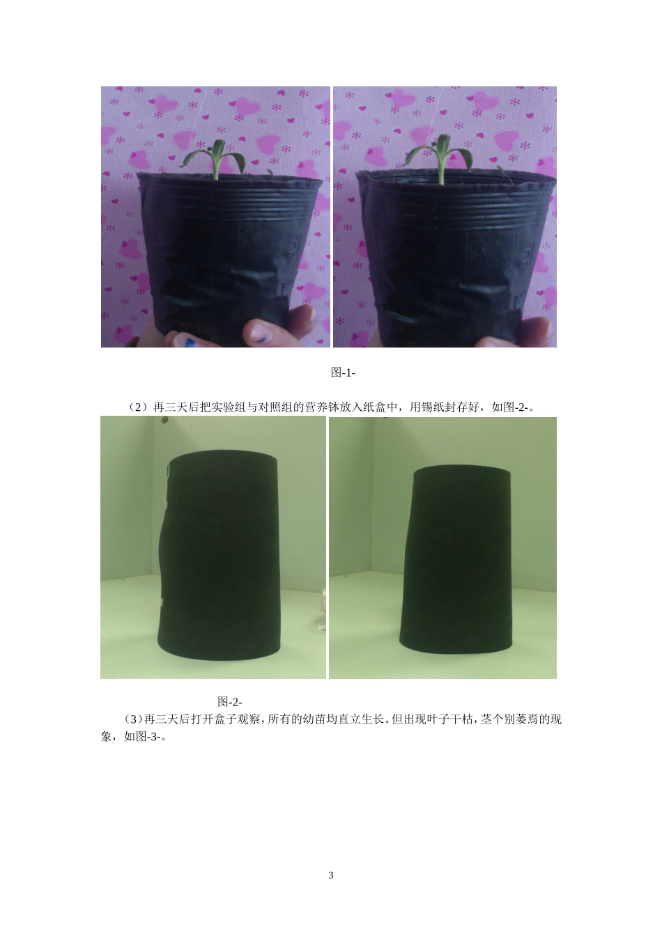 植物向光性实验设计_第3页