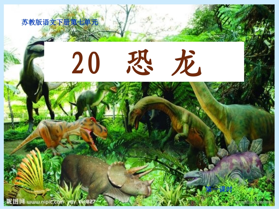 《恐龙》第一课时_第1页