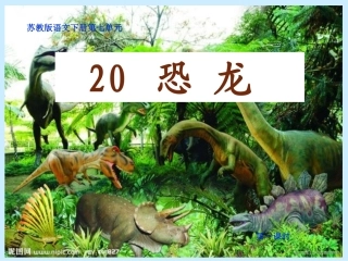 《恐龙》第一课时