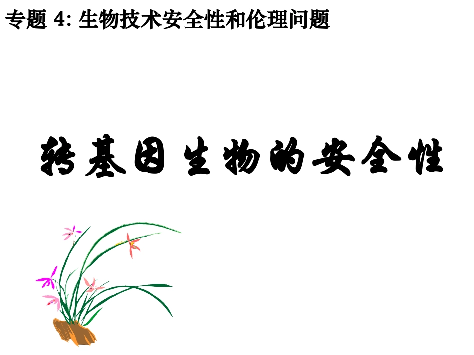 转基因生物的安全性(公开课)_第1页