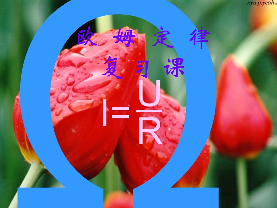 欧姆定律复习课_第1页