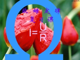 欧姆定律复习课