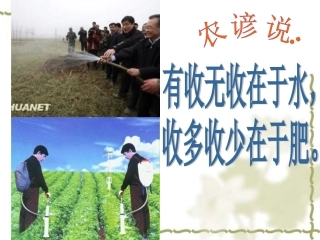植物对水分和无机盐的吸收宋静