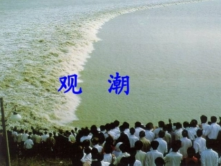 《观潮》参考课件