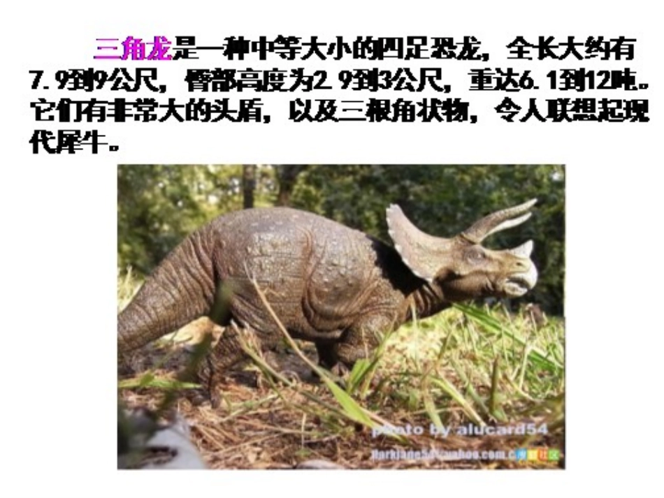 《恐龙的灭绝》颍泉区循环经济园学区潘寨小学：段振玲_第3页