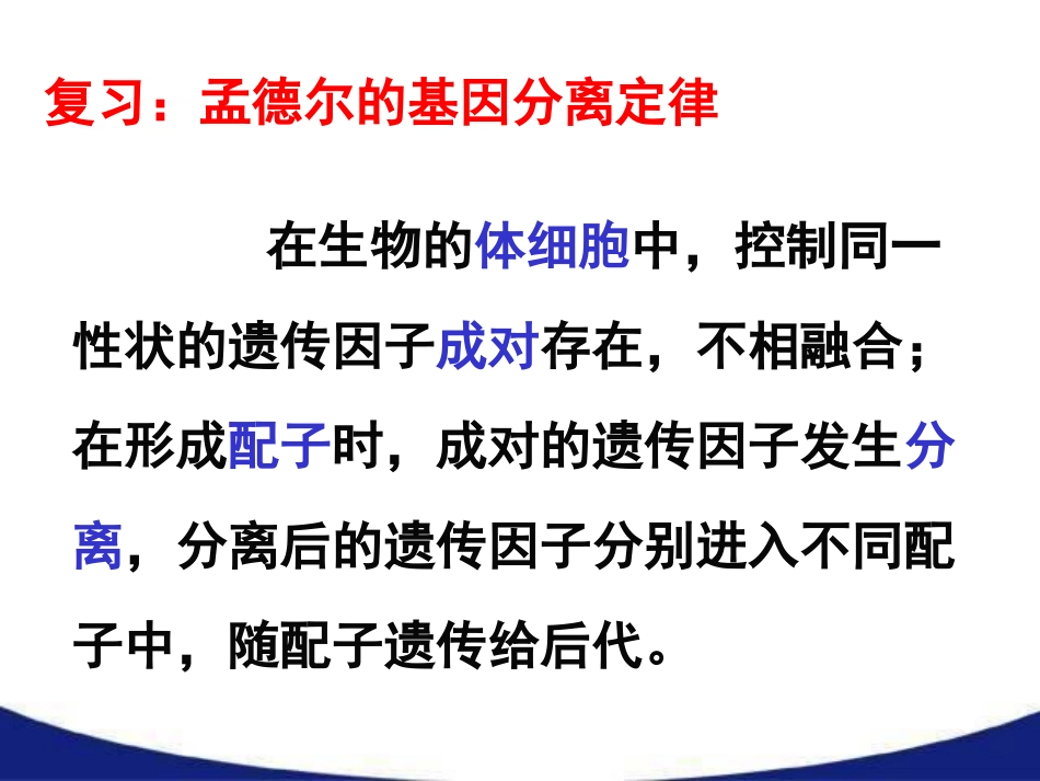 第一章第二节孟德尔豌豆杂交实验二_第2页