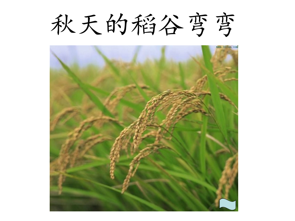 大班音乐：秋天弯弯_第3页